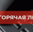 Прокуратурой Полтавского района проводится горячая линия. - Полтавский район